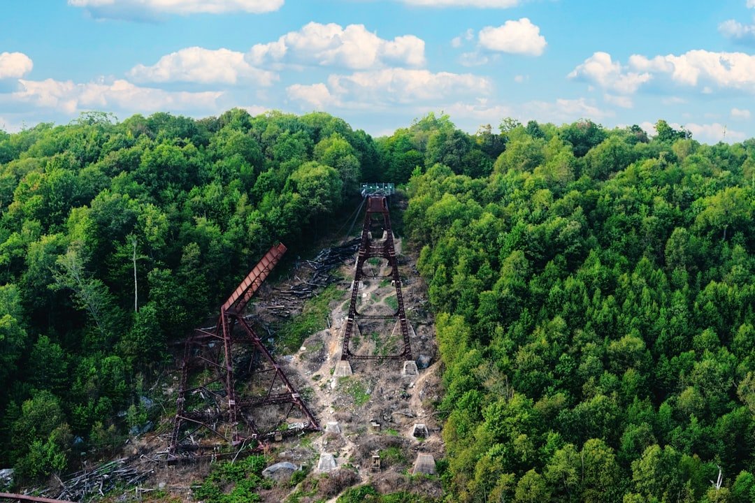 Photo Rainforest destruction