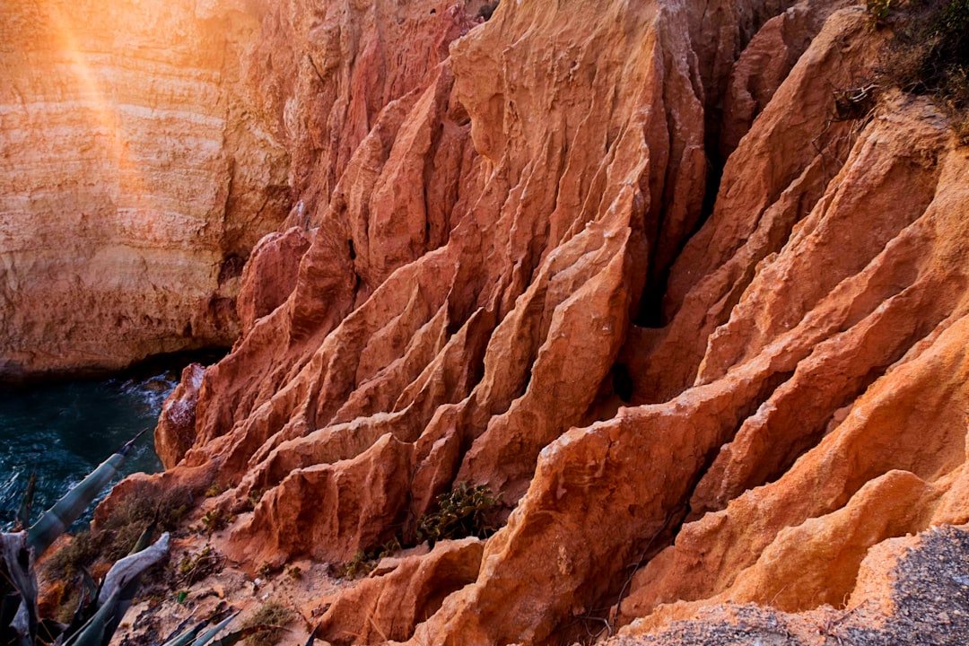 Photo Soil erosion