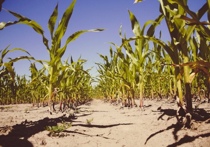 Photo Soil erosion