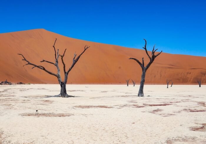 Photo Soil erosion