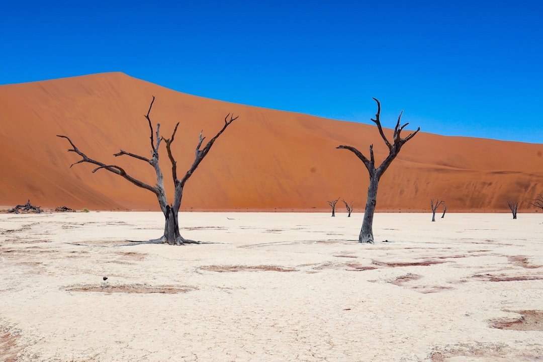 Photo Soil erosion