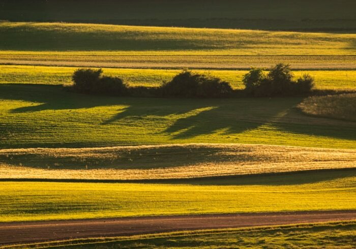 Photo Agricultural field