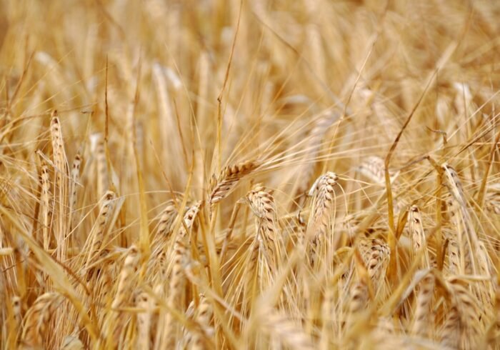 Photo Logging, Agriculture