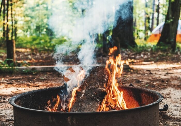 Photo Burning trees