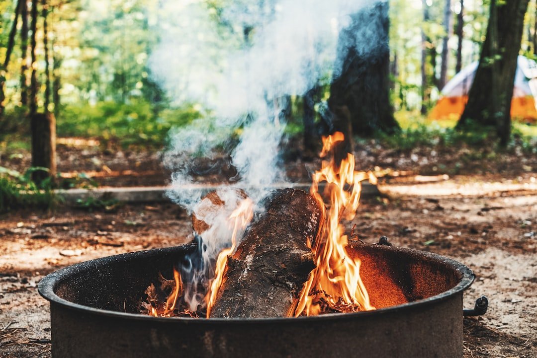 Photo Burning trees