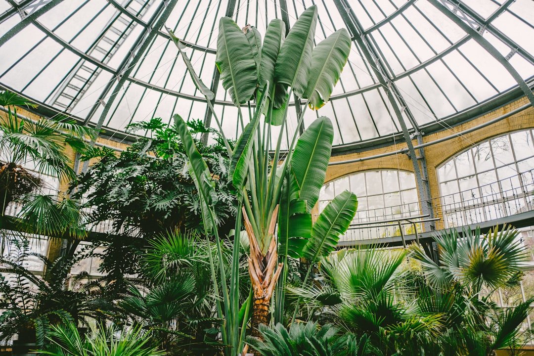 Photo Greenhouse effect
