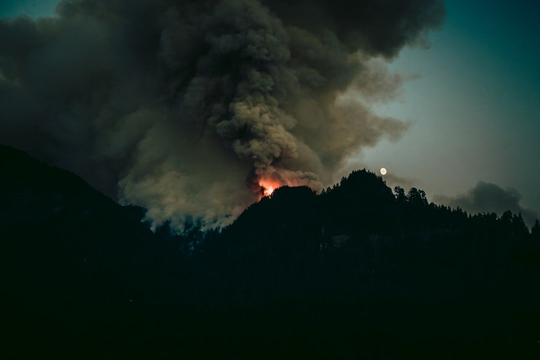 Photo Burning trees