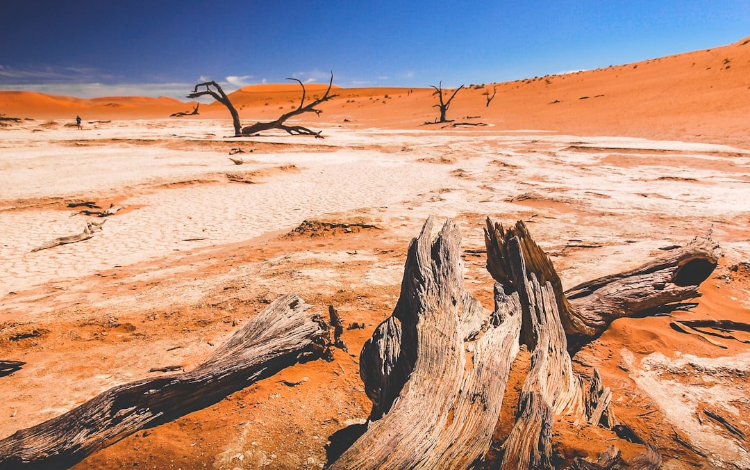 Photo Barren landscape