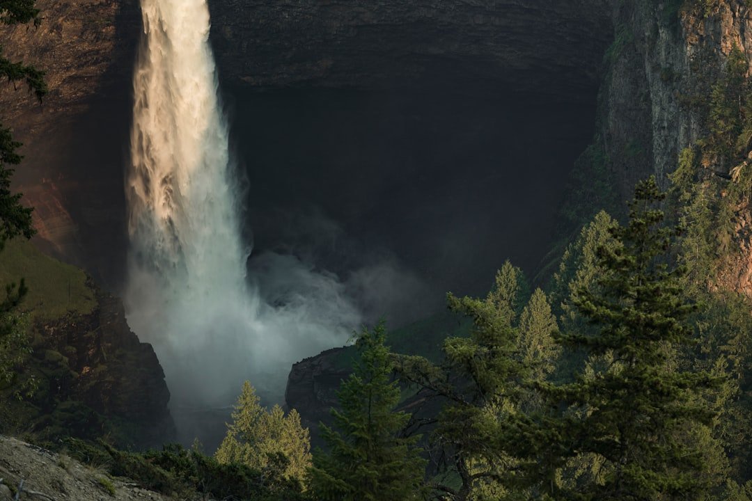 Photo Canadian forest