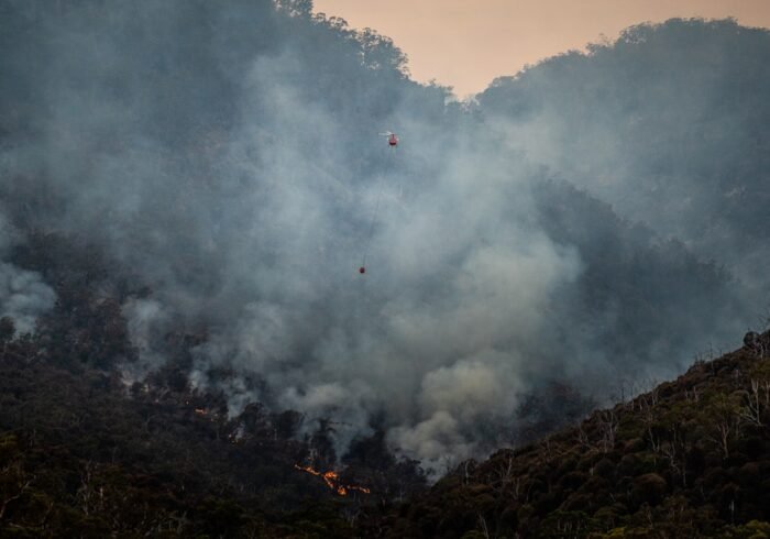 Photo Forest destruction