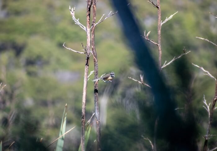 Photo Wildlife sanctuary