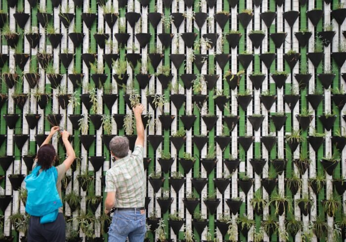 Photo Vertical garden