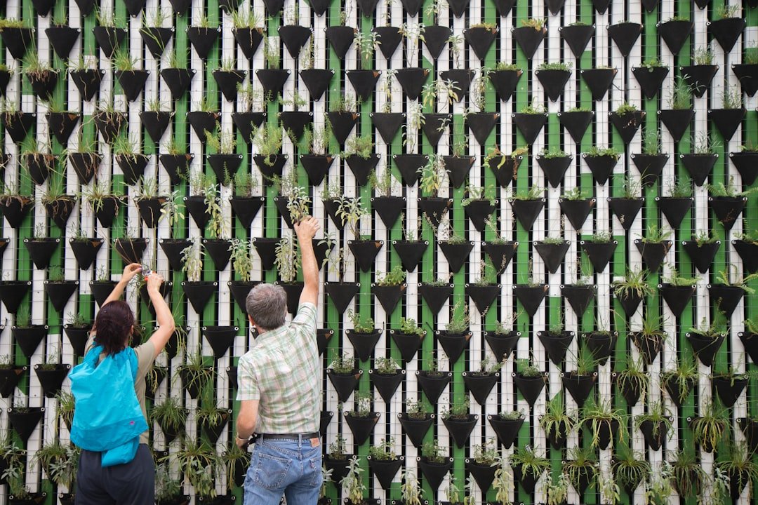 Photo Vertical garden