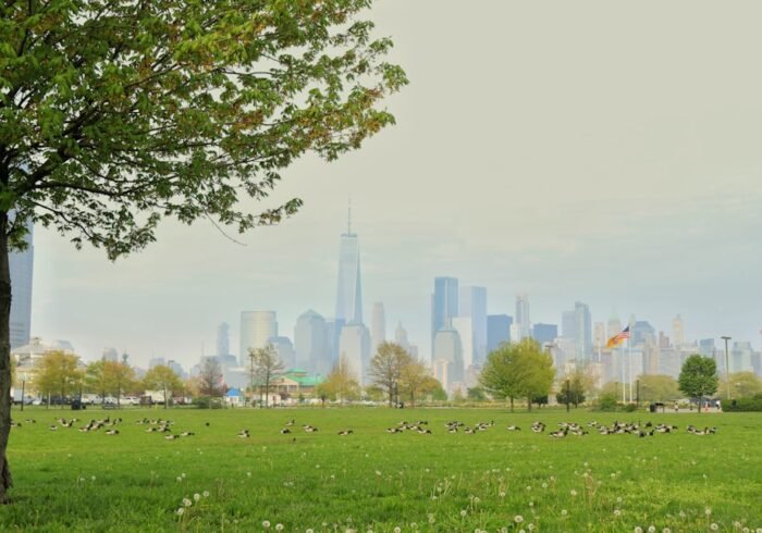 Photo City park