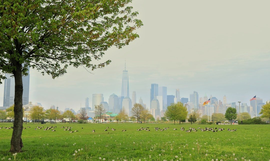 Photo City park