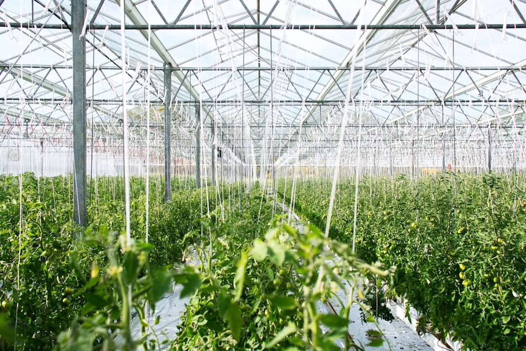 Photo Greenhouse