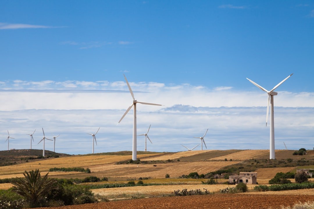 Photo Wind farm