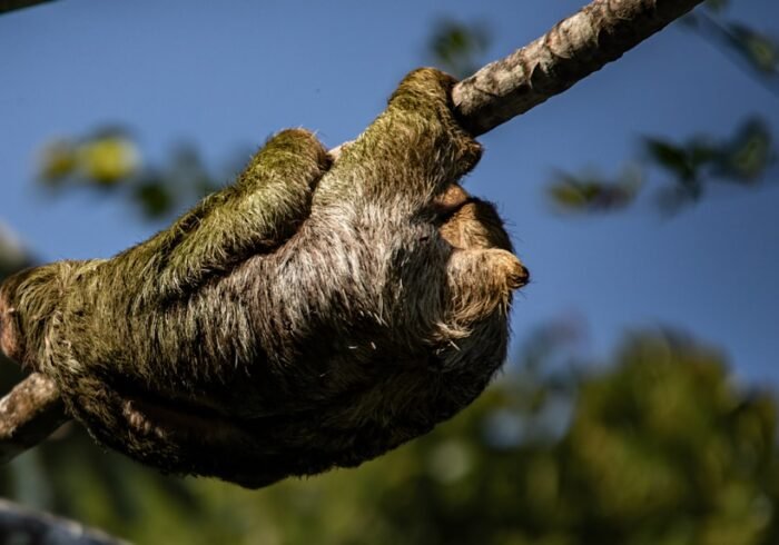 Photo Wildlife sanctuary