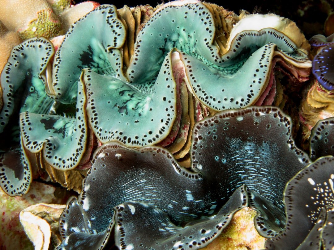 Photo Marine biologist