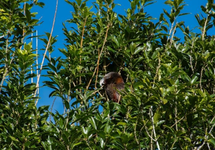 Photo Wildlife sanctuary