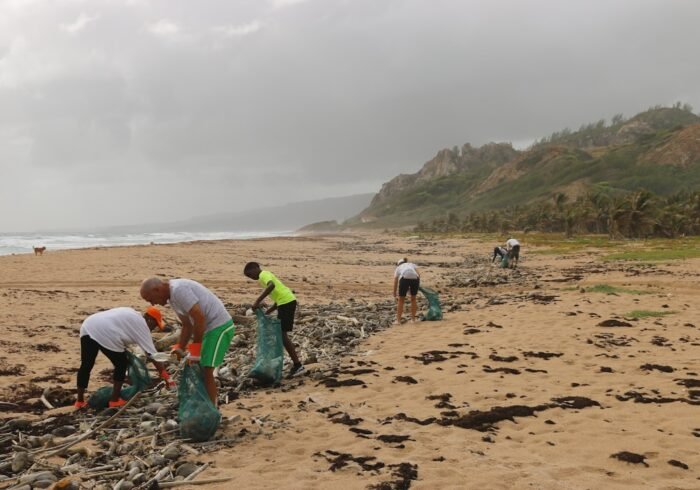 Photo Beach cleanup