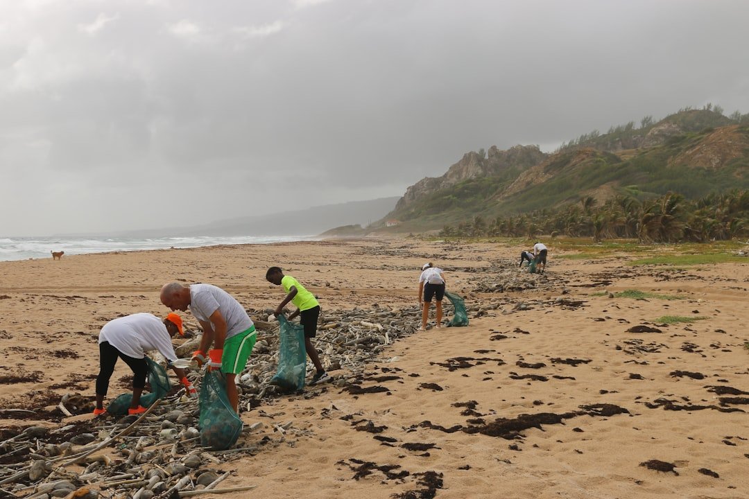Photo Beach cleanup