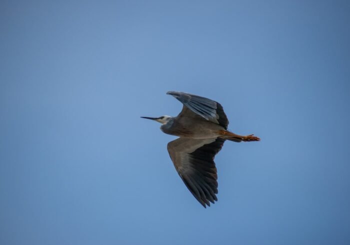 Photo Wildlife sanctuary