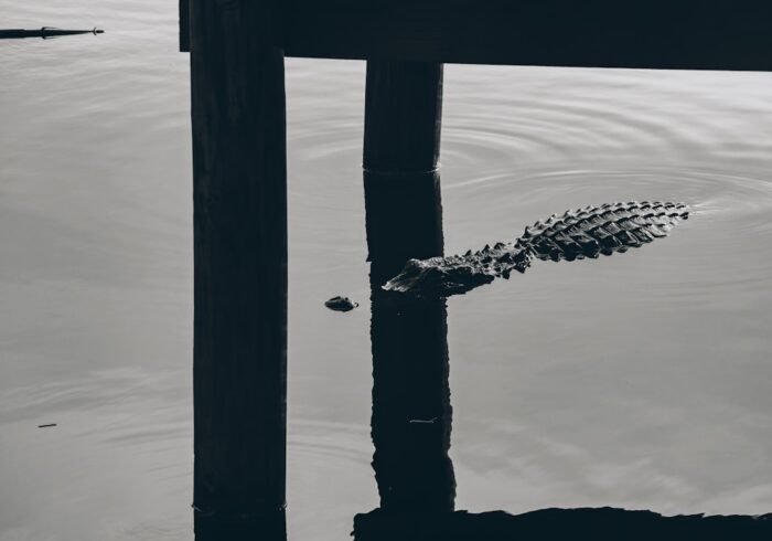 Photo Wildlife sanctuary
