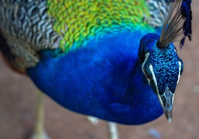 Photo Wildlife sanctuary