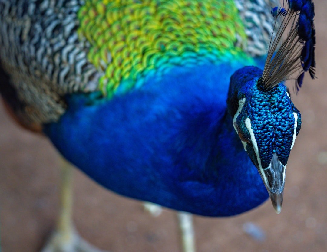 Photo Wildlife sanctuary