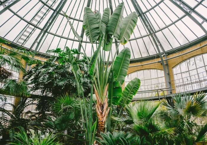 Photo Glass greenhouse