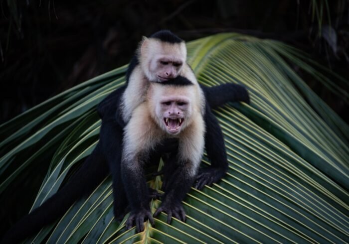 Photo Wildlife reserve