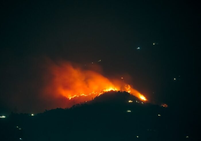 Photo Burning forests