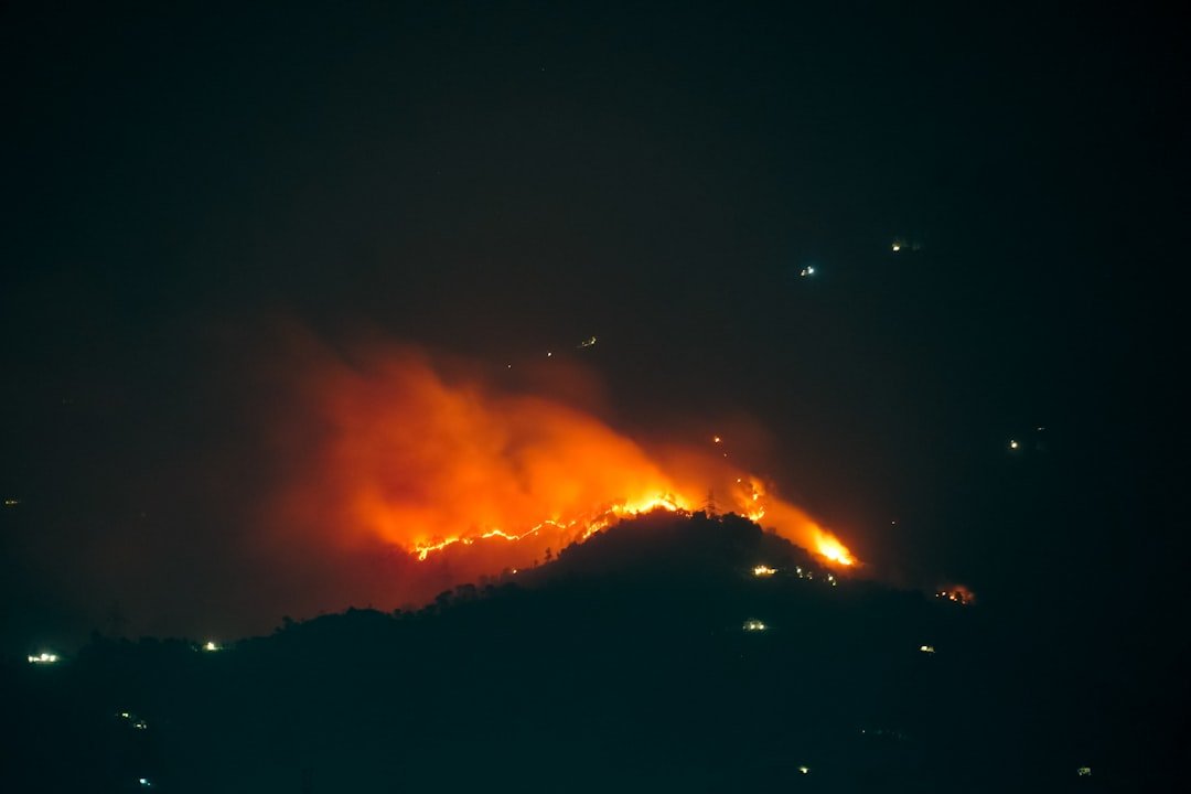 Photo Burning forests