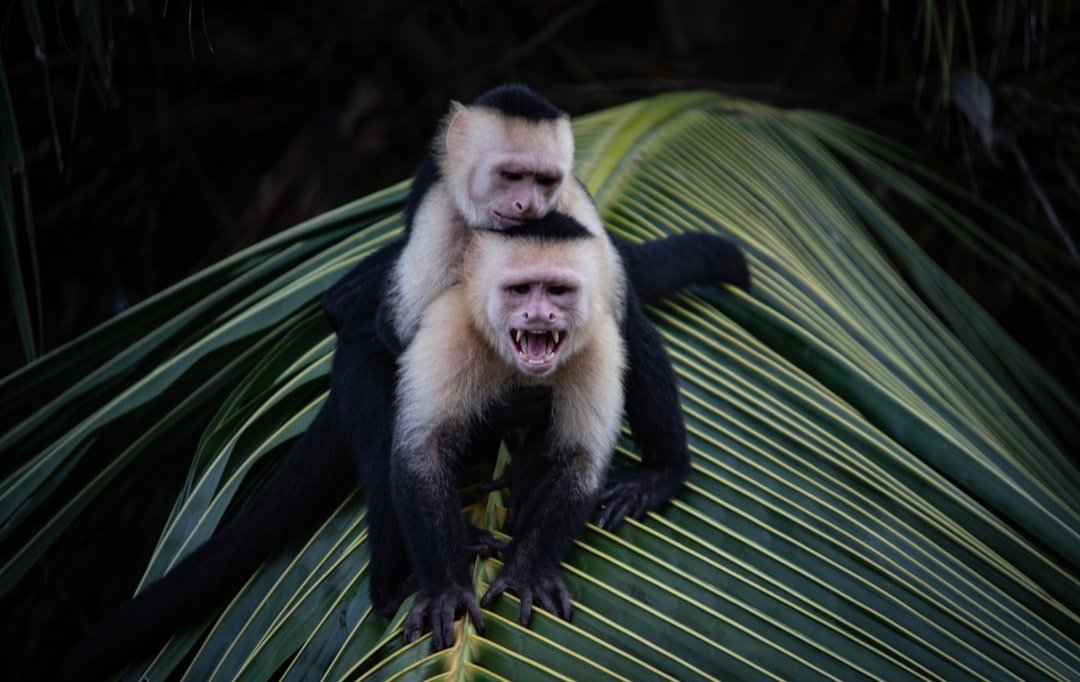Photo Wildlife reserve